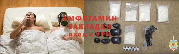 прущие грибы Алзамай