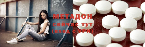 прущие грибы Алзамай